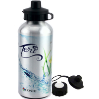 DyeTrans Aluminum Water Bottle-600ml -Silver w/Top and Carabiner
