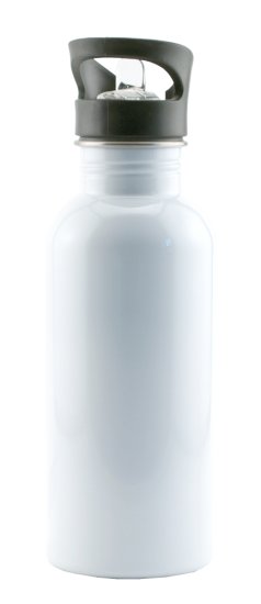 Stainless Steel Water Bottle - 14 oz - Click Image to Close